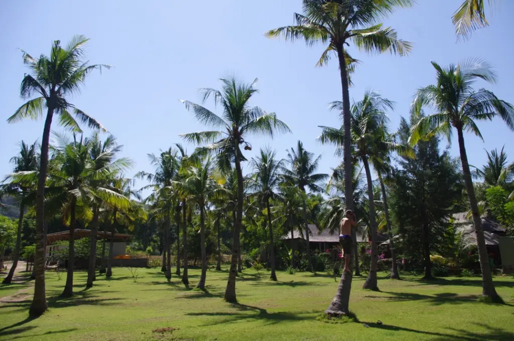 Gili Trawangan (CC https://awesomatik.de)