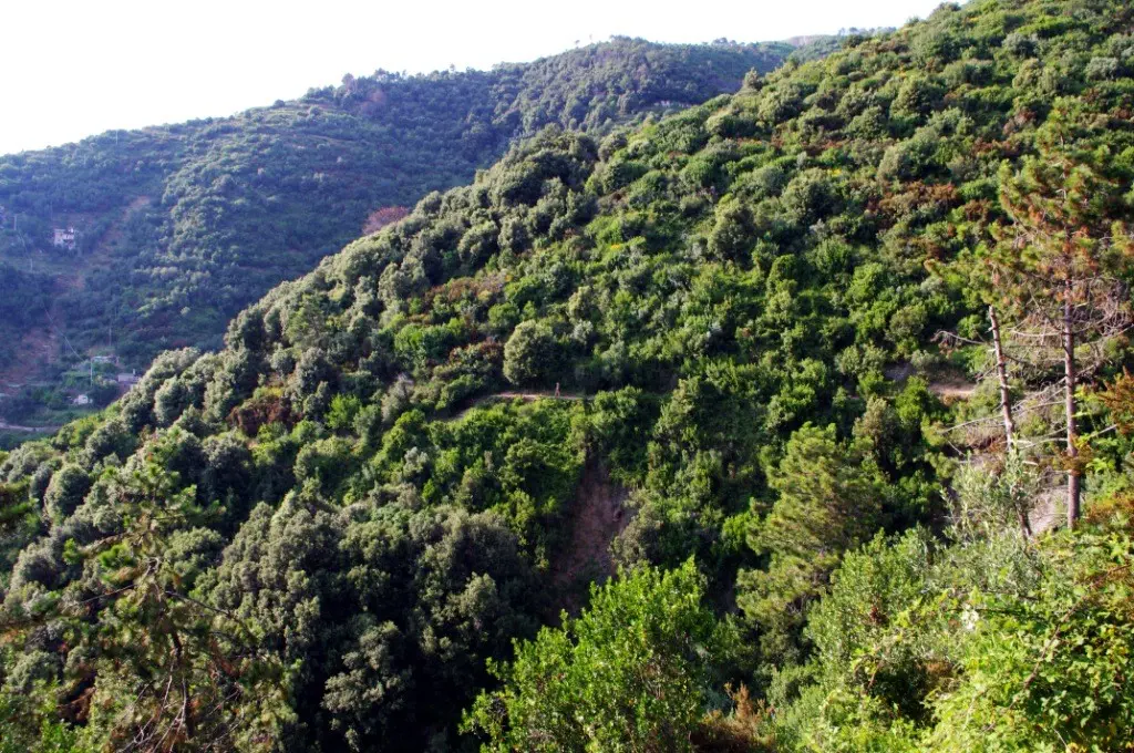 Cinque Terre (CC awesomatik.com)