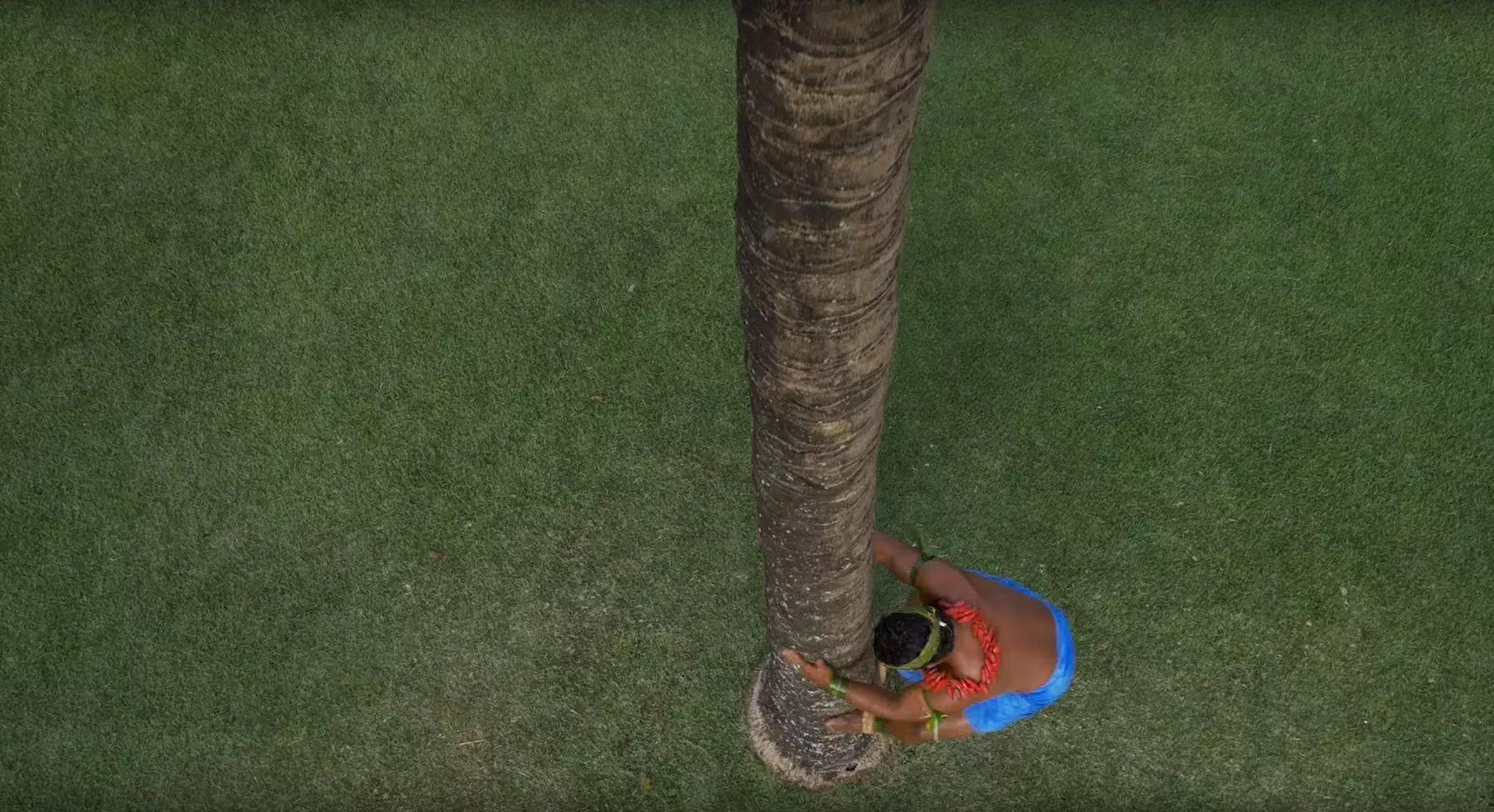 How to climb a coconut tree Screencap1